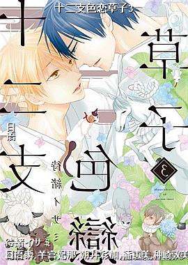 ʮ��֧ɫ������3