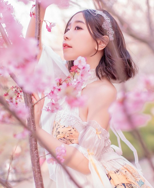 ������ô��